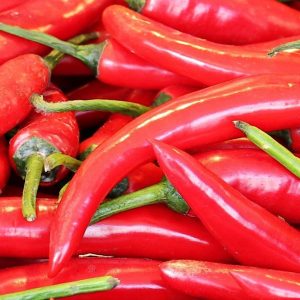 Chilli- Indian Spices Exporters