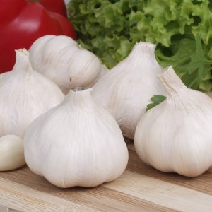 Garlic Suppliers Exporters in India