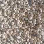 cashew wholesale Exporter in tamilnadu