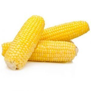 Corn Exporter in tamilnadu